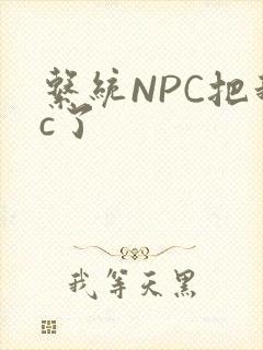系统NPC把我c了封面
