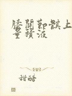 膝关节髌上囊少量积液
