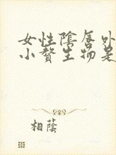 女性阴唇外面起小赘生物是怎么回事