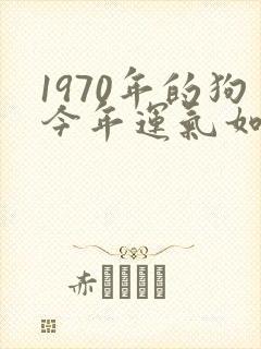 1970年的狗今年运气如何封面