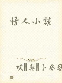 情人小说封面
