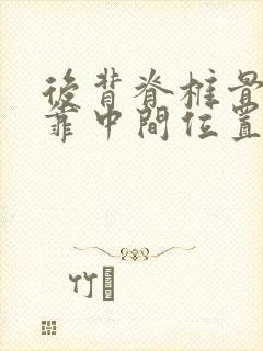 后背脊椎骨左侧靠中间位置疼