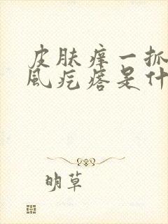 皮肤痒一抓就起风疙瘩是什么原因