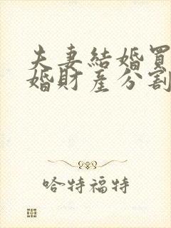 夫妻结婚买房离婚财产分割