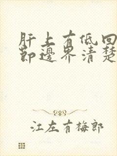 肝上有低回声结节边界清楚怎么回事