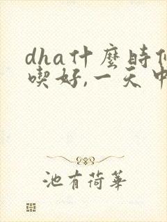 dha什么时候吃好,一天中什么时候?