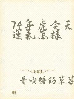 74年虎今天的运气怎样