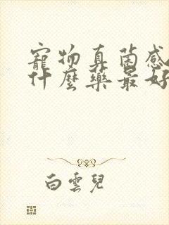 宠物真菌感染用什么药最好