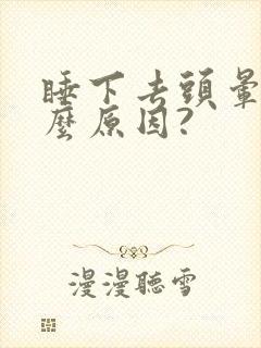 睡下去头晕是什么原因?