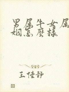 男属牛女属鼠婚姻怎么样