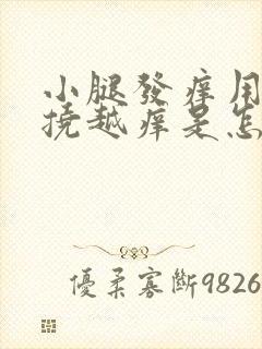 小腿发痒用手越挠越痒是怎么回事封面