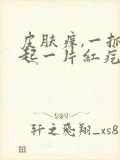 皮肤痒,一抓就起一片红疙瘩