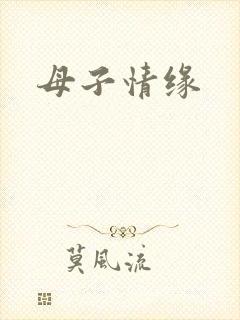 母子情缘封面