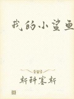 我的小鲨鱼