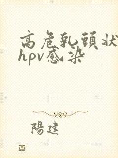 高危乳头状病毒hpv感染