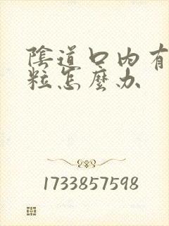 阴道口内有小米粒怎么办