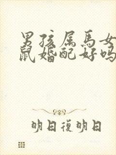 男孩属马女孩属鼠婚配好吗封面