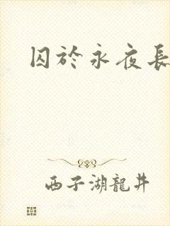 囚于永夜长佩封面