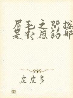 眉毛之间总长痘是对应的哪个器官封面