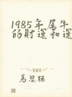 1985年属牛的财运和运气如何封面