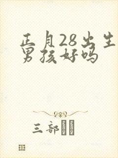 正月28出生的男孩好吗