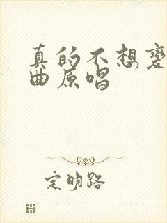 真的不想变老歌曲原唱