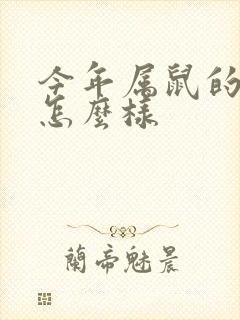 今年属鼠的财运怎么样