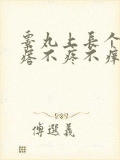 睾丸上长个肉疙瘩不疼不痒