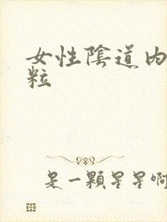 女性阴道内有颗粒