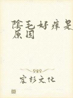 阴毛好痒是什么原因