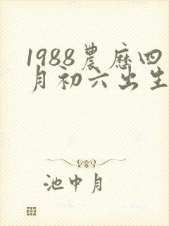 1988农历四月初六出生的人