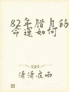 82年腊月的狗命运如何