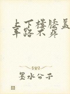 上下楼膝盖疼走平路不疼封面