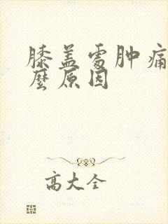 膝盖处肿痛是什么原因封面