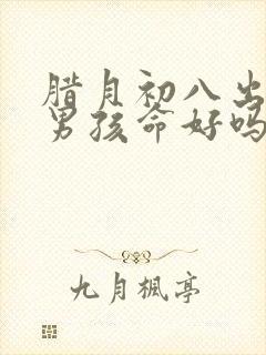 腊月初八出生的男孩命好吗