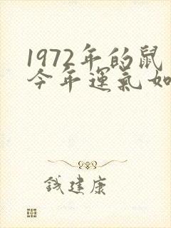 1972年的鼠今年运气如何