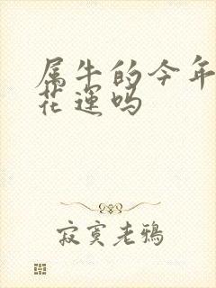 属牛的今年犯桃花运吗