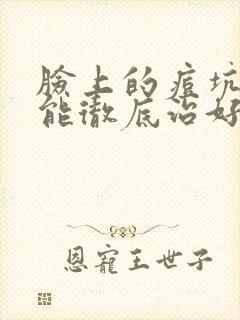 脸上的痘坑痘印能彻底治好吗