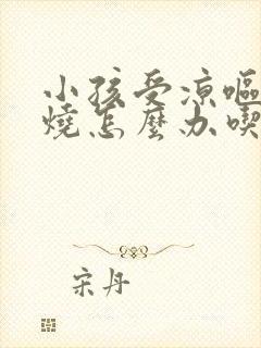 小孩受凉呕吐发烧怎么办吃什么药