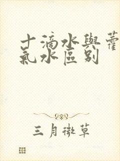 十滴水与藿香正气水区别