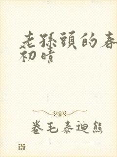 老孙头的春天林初晴