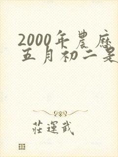 2000年农历五月初二是什么命
