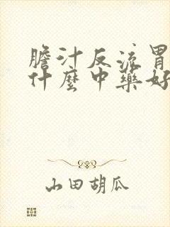 胆汁反流胃炎吃什么中药好