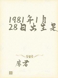 1981年1月28日出生是什么命