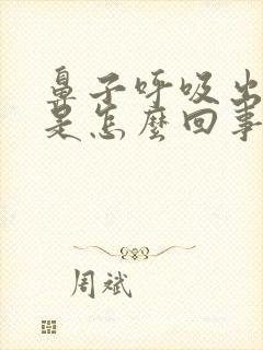 鼻子呼吸出热气是怎么回事