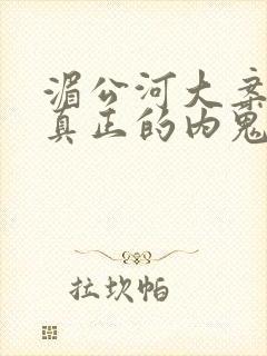 湄公河大案谁是真正的内鬼