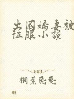 出国娇妻被黑人征服小说封面