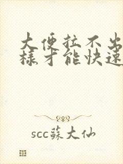 大便拉不出来怎样才能快速排便