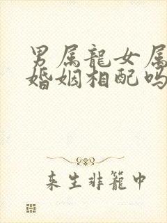 男属龙女属狗的婚姻相配吗