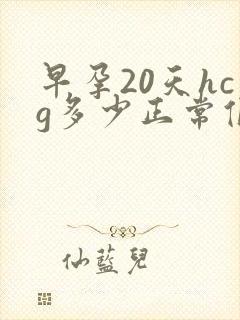 早孕20天hcg多少正常值是多少封面